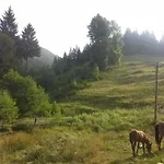 ロッジ вище за хмари ヴェルホヴィナ