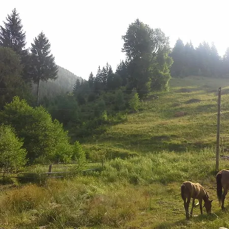 Alojamento de Turismo Selvagem вище за хмари Verkhovyna