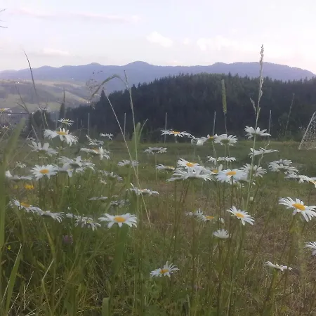 вище за хмари * Verkhovyna