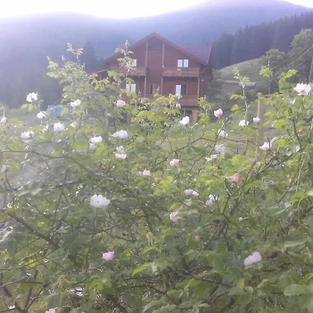 вище за хмари * Verkhovyna