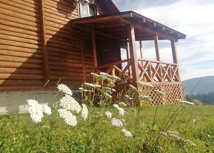 山林小屋 вище за хмари 韦尔霍维纳