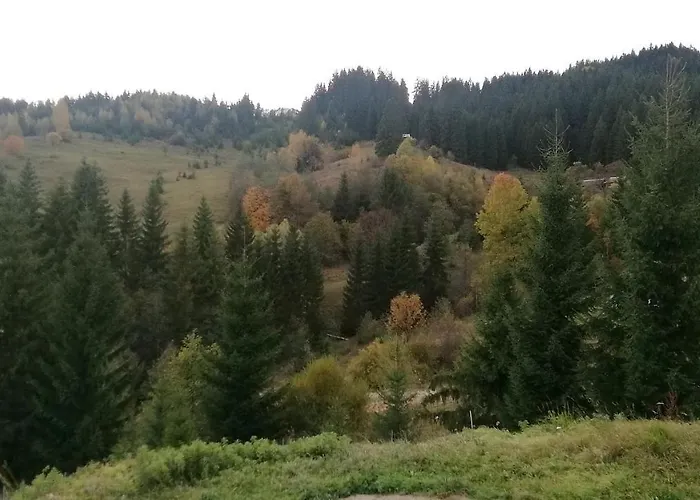 山林小屋 вище за хмари 韦尔霍维纳