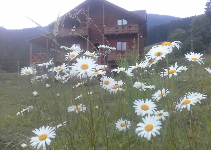 вище за хмари 山林小屋 *
