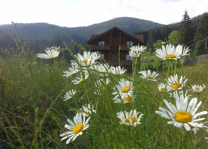 вище за хмари 山林小屋 *