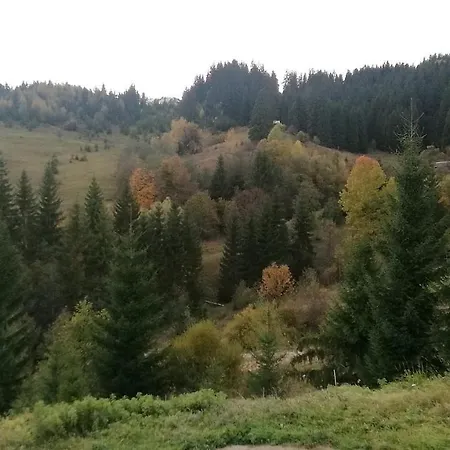 Orman Evi вище за хмари Verkhovyna