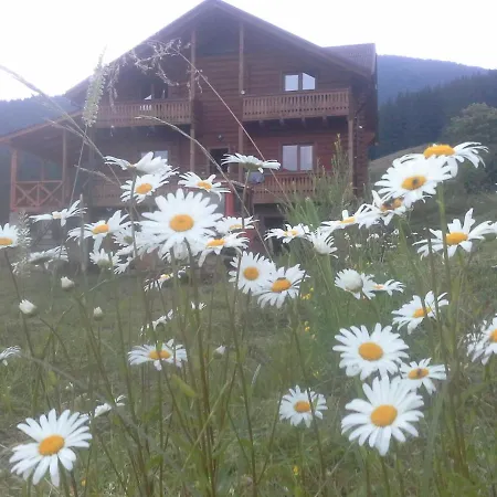вище за хмари Orman Evi *