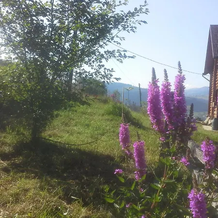 Hytte вище за хмари